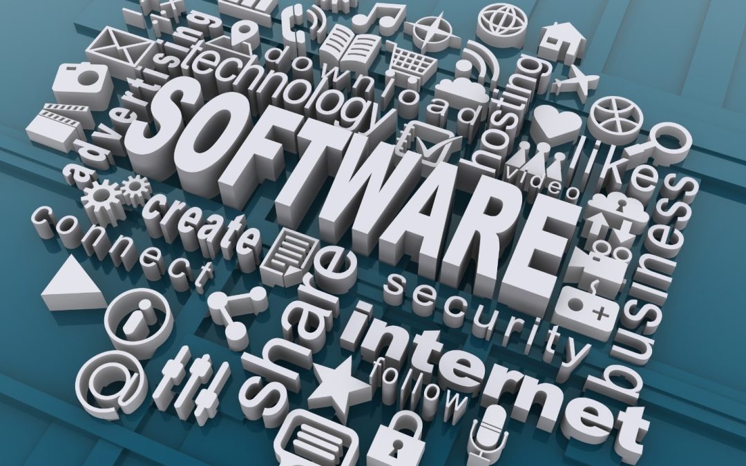 Developer Software Indonesia
